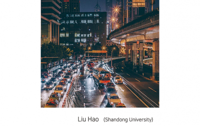 Mobility and Satisfaction of Urban Public Services in Shandong, China