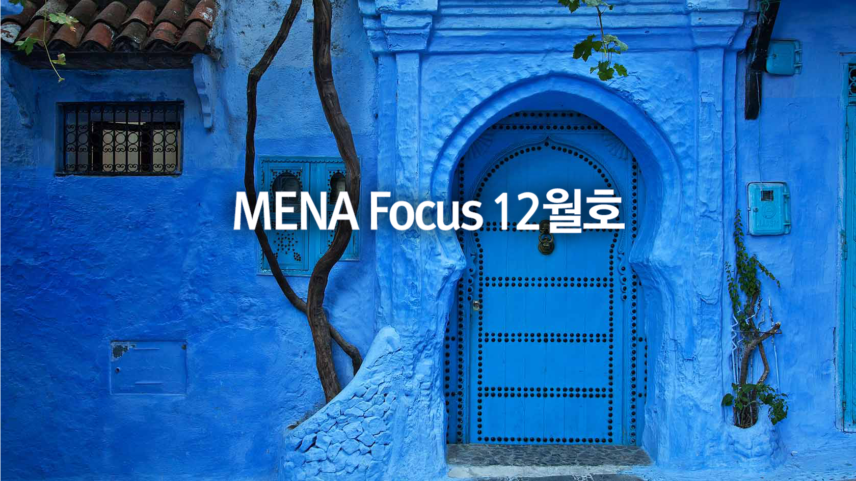 [소식] 서아시아센터, MENA Focus 2024년 12월호 발간