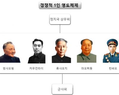 그림 6. 경쟁적 1인 영도체제